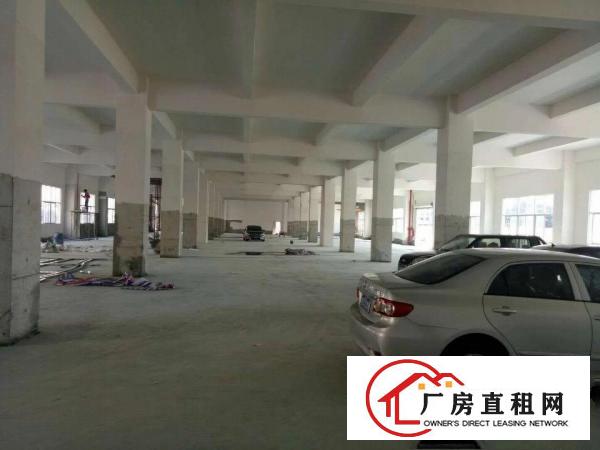 
塘厦原房东红本独院厂房直租