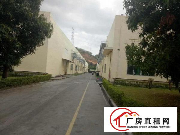 
塘厦原房东红本独院厂房直租