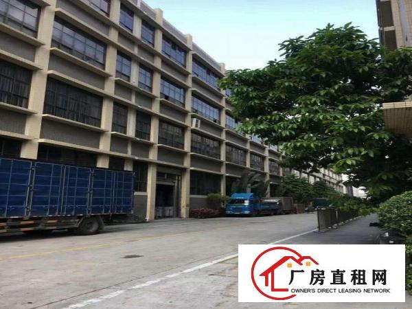 
凤岗清溪塘厦独门独院原房东厂房出租