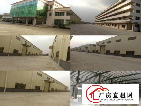 
凤岗清溪塘厦独门独院原房东厂房出租