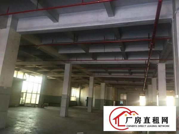
凤岗清溪塘厦独门独院原房东厂房出租