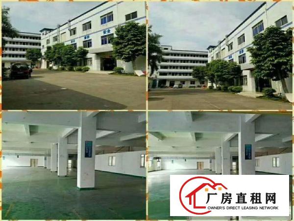 
凤岗清溪塘厦独门独院原房东厂房出租