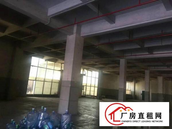 
凤岗清溪塘厦独门独院原房东厂房出租