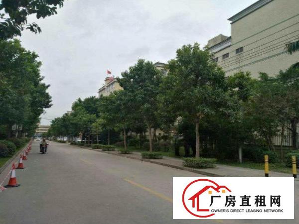 
凤岗雁田原房东新出金典独院2981平厂房出租