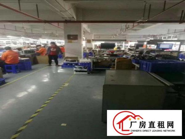
现房一一凤岗黄洞新出整层带装修1200平厂房出租