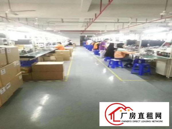 
现房一一凤岗黄洞新出整层带装修1200平厂房出租