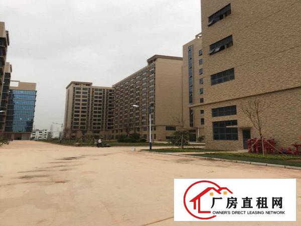 
凤岗五联新出全新12万平米厂房出租可分租