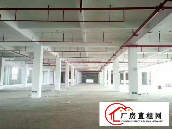 
凤岗五联新出全新12万平米厂房出租可分租