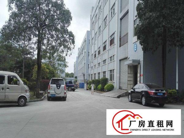 
凤岗标准厂房楼上1000平出租园区形像好带装修