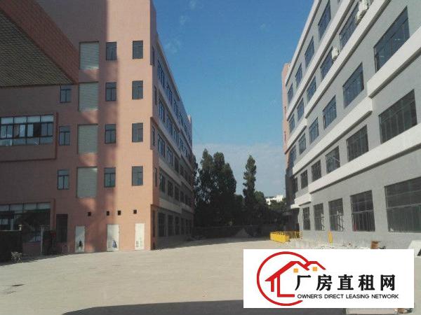 
凤岗高速口1700平方标准带装修带消防水电出租