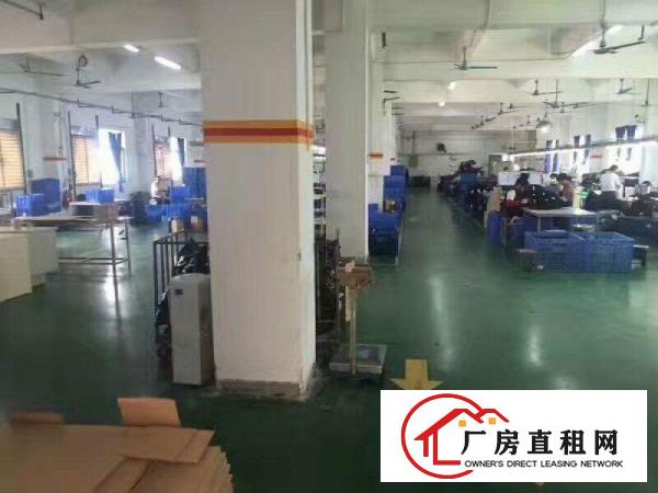 
凤岗新出楼上2000平带装修多个厂房可分租