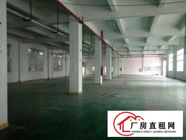 
凤岗新出楼上2000平带装修多个厂房可分租