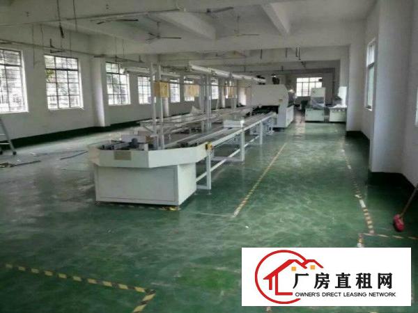
凤岗新出形象漂亮的标准楼上厂房1200平米主线到位