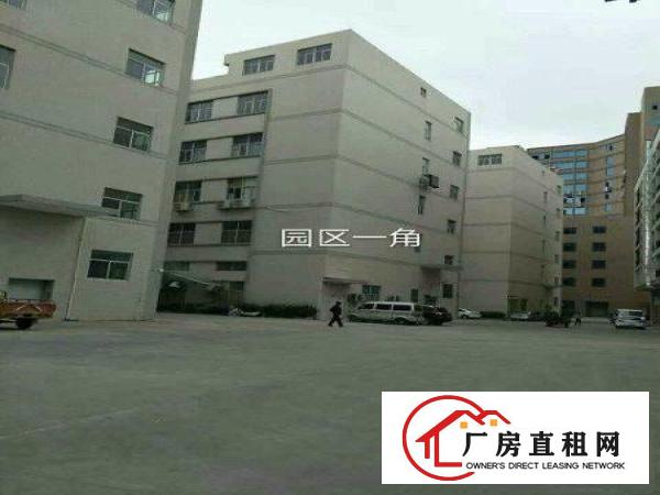 
凤岗新厂房单层面积2600平方，可分租