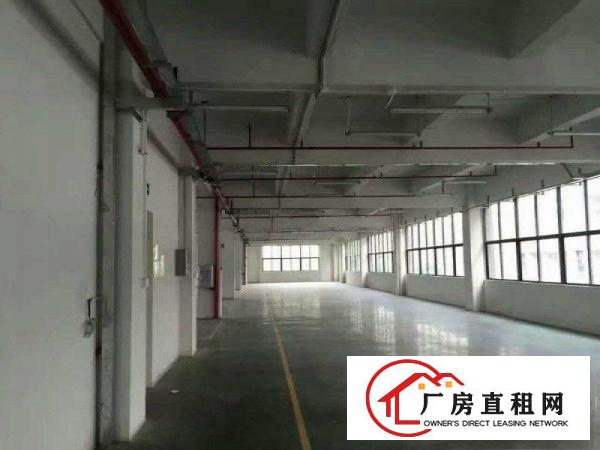 
凤岗新厂房单层面积2600平方，可分租