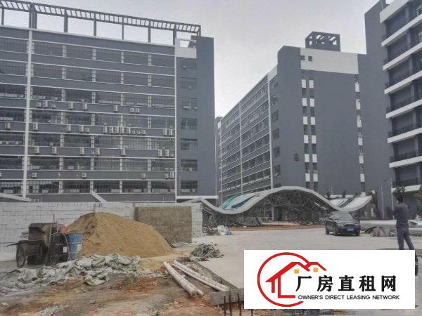 
凤岗新厂房单层面积2600平方，可分租