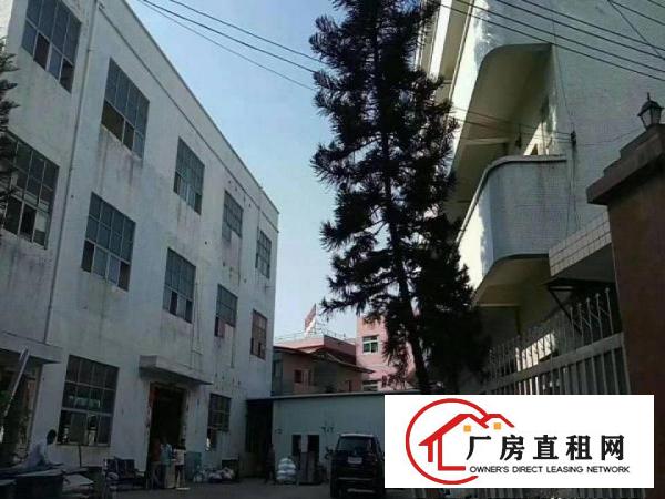 
凤岗镇油甘埔村新出小独院1800平火热出租