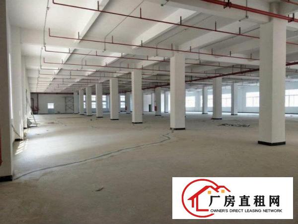 
急租凤岗全新厂房出租，单层面积3500平方，可分租