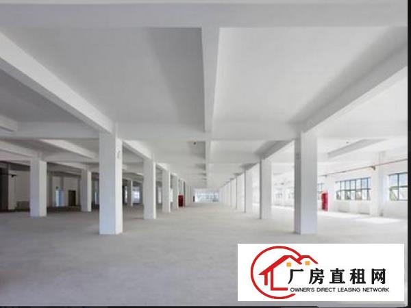 
凤岗三联标准一楼2600平方厂房出租高6.5米