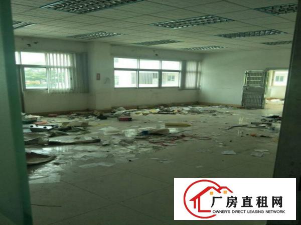 
花园式独院6000平方厂房单层1000