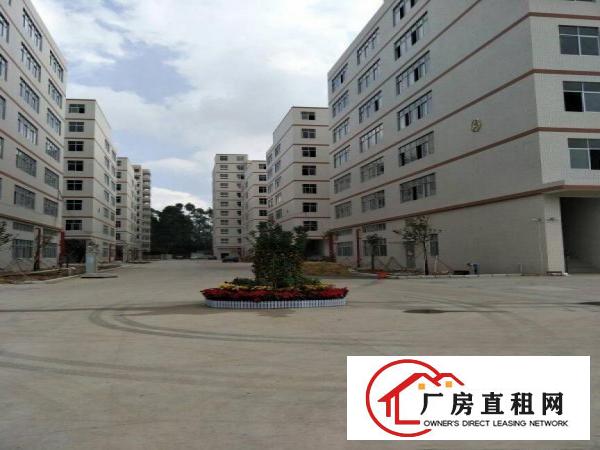 
电商贸易仓库大小分租