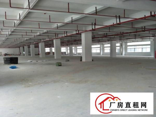 
电商贸易仓库大小分租