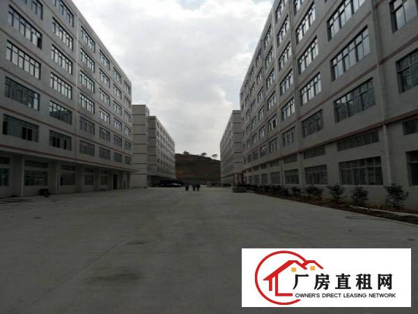 
电商贸易仓库大小分租