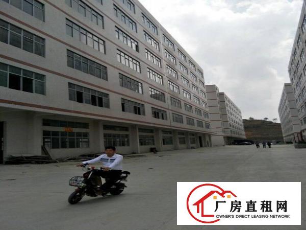 
电商贸易仓库大小分租