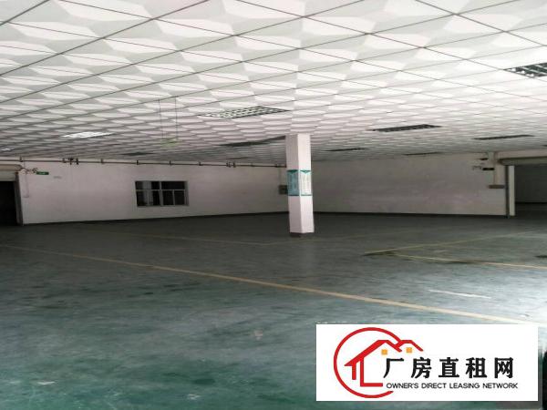
多个楼上1000平方现成装修