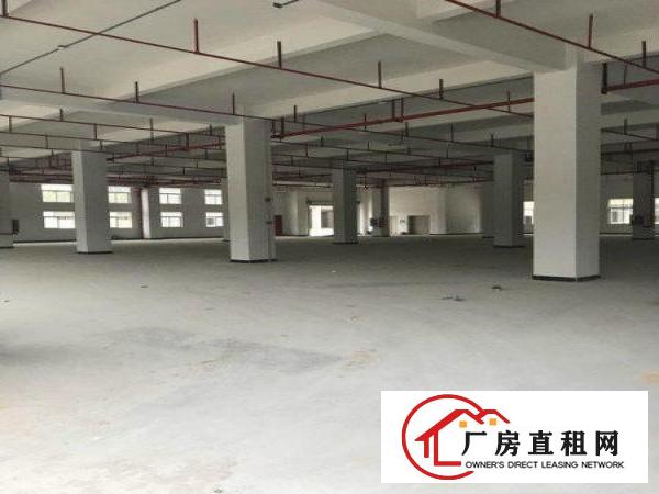 
《双证齐全》凤岗镇高新产业园新出2200平招租