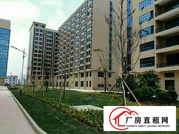 
凤岗原房东隆重推出高型产业园（双证齐全）出租