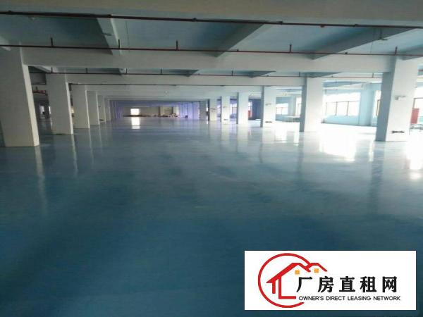 
凤岗原房东隆重推出高型产业园（双证齐全）出租