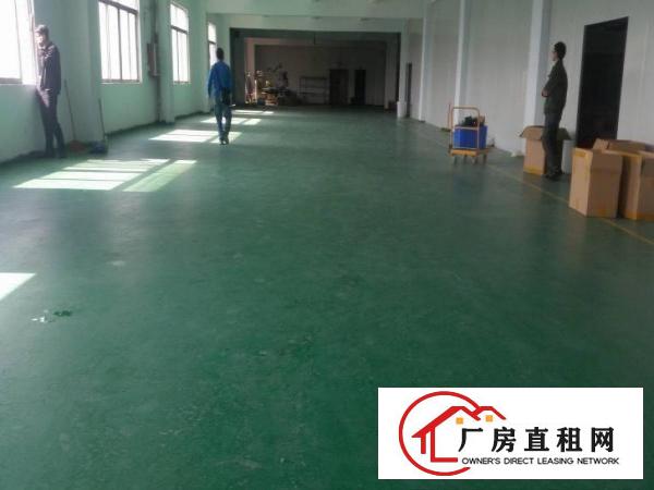 
凤岗新出原房东厂房1000平方只租14元