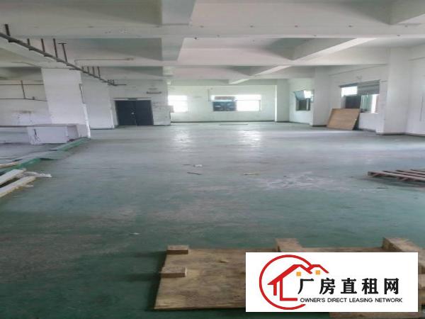 
凤岗新出原房东厂房1000平方只租14元