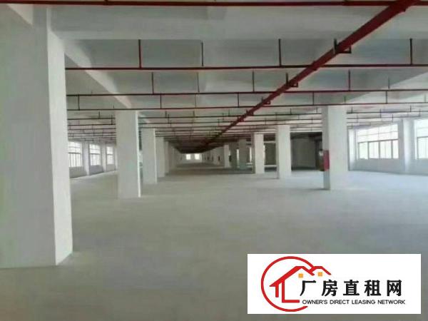 
东莞凤岗全新厂房2600一层出租