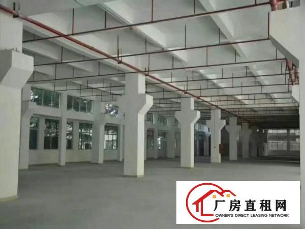
东莞凤岗全新厂房2600一层出租