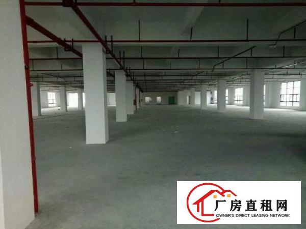 
凤岗原房东独门独院厂房出租