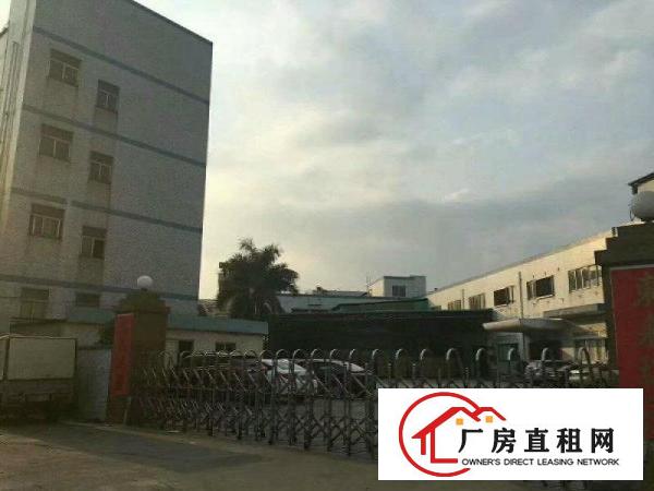 
凤岗原房东独门独院厂房出租