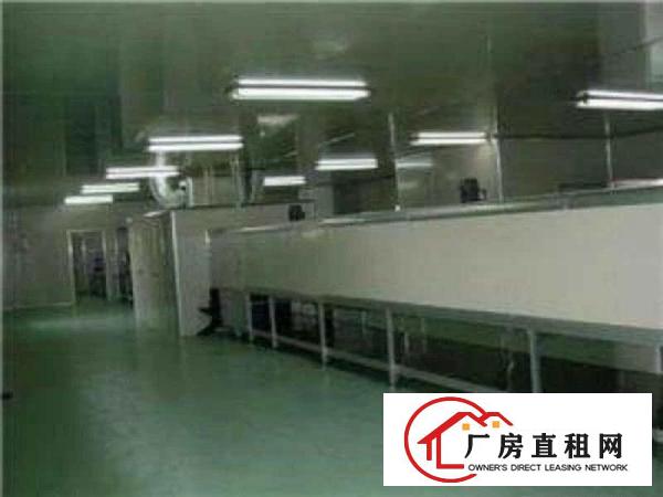 
凤岗600至1500平喷油车间出租