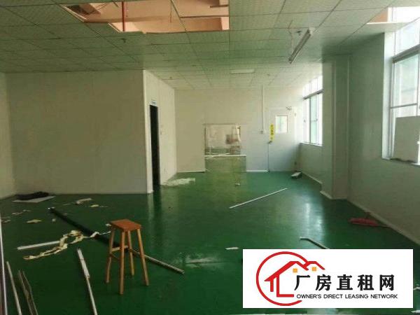 
凤岗竹塘独院厂房出租