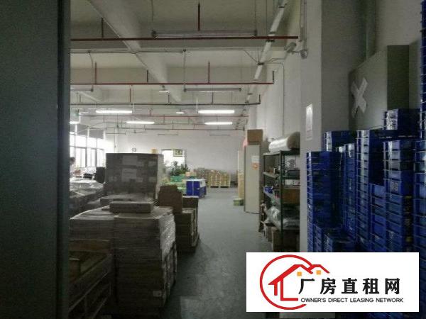 
凤岗竹塘独院厂房出租