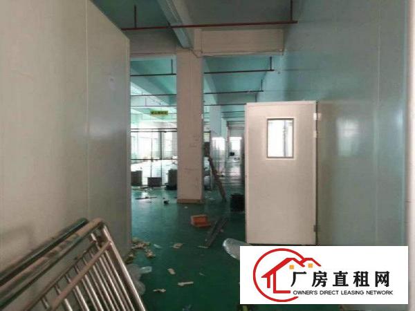 
凤岗竹塘独院厂房出租