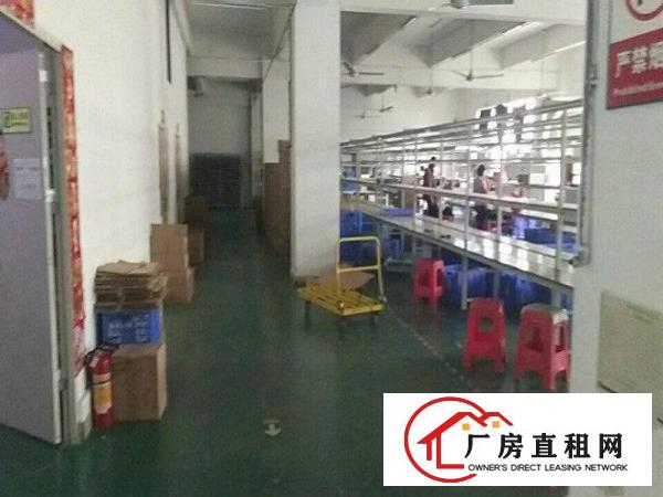 
凤岗竹塘独院厂房出租