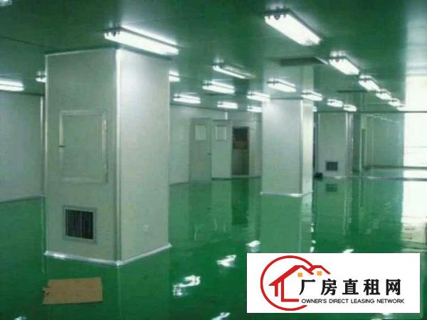 
凤岗1500至3000平无尘车间出租