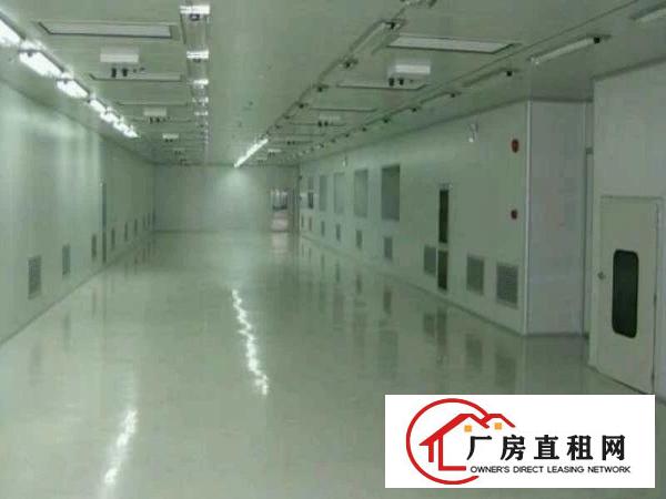 
凤岗1500至3000平无尘车间出租