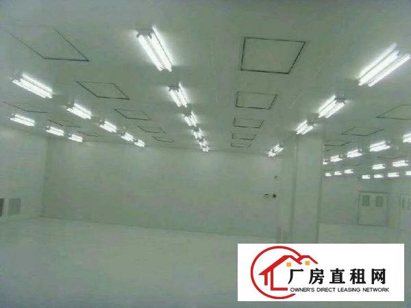 
凤岗1500至3000平无尘车间出租