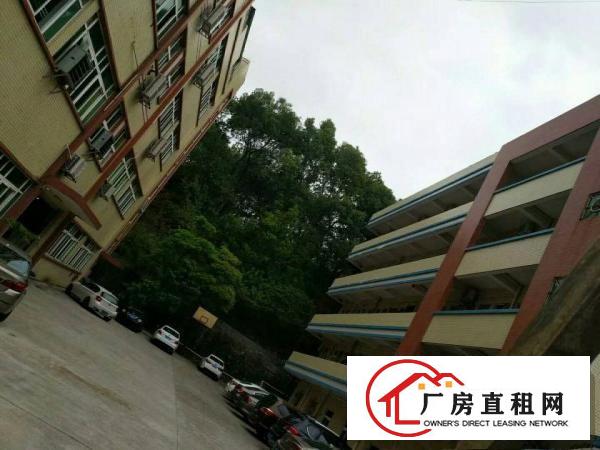 
凤岗独院厂房出租，共6000平方，适合各种行业！