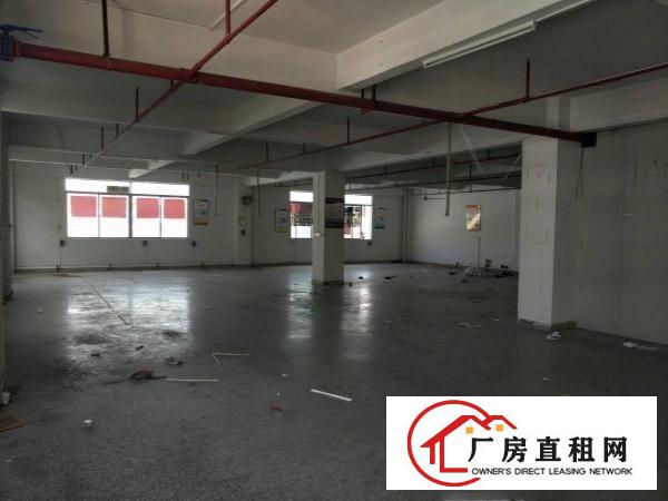 
官井头工业区新出楼上厂房，1100平方，现成装修