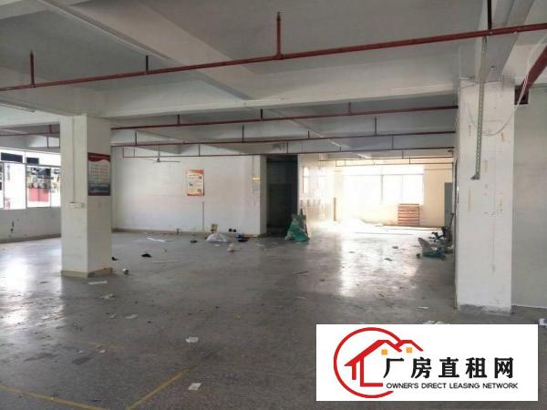 
官井头工业区新出楼上厂房，1100平方，现成装修