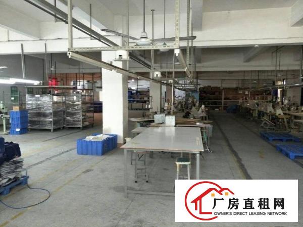 
凤岗沙岭车站独院厂房出租，四层3600平方，可分租